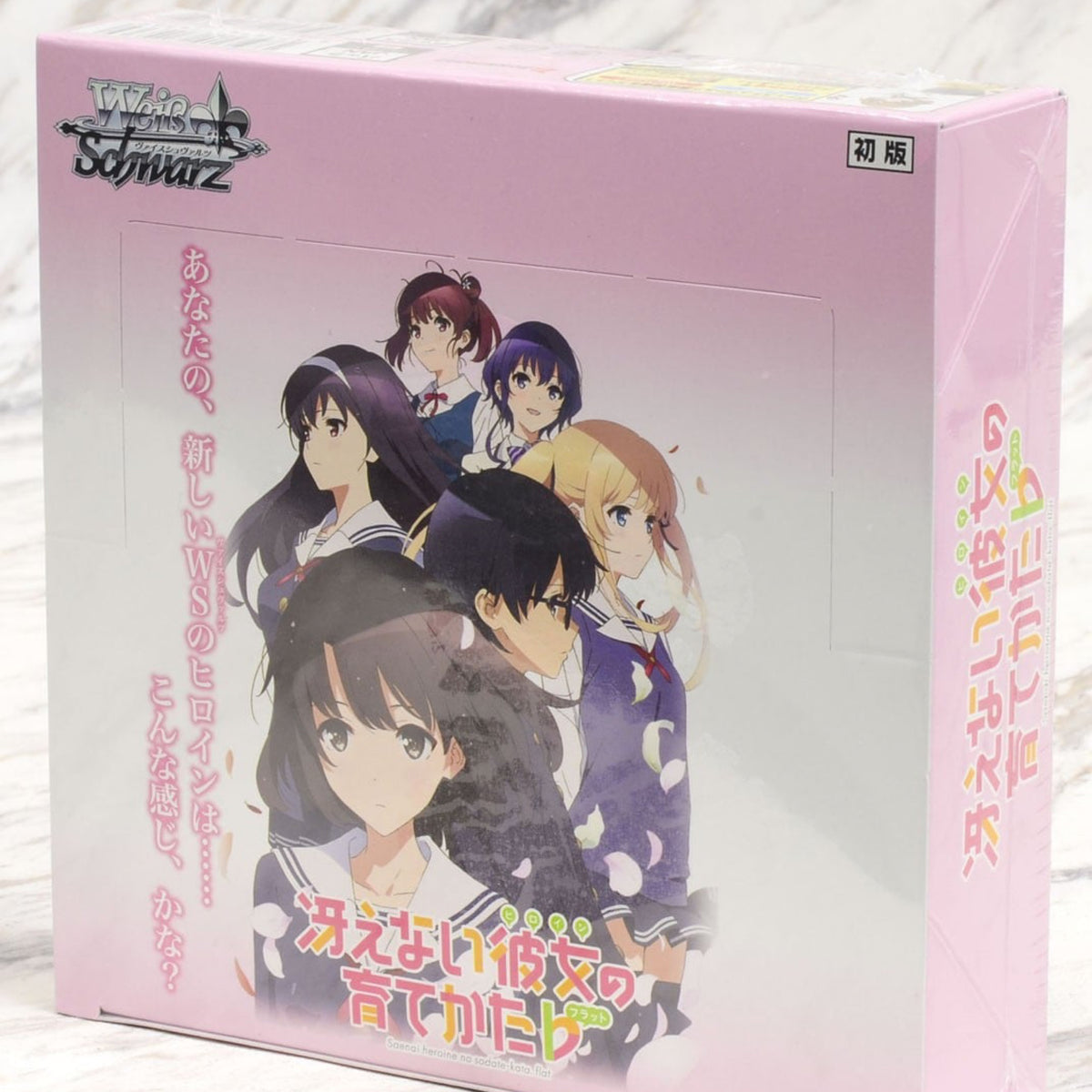 Saekano: FLAT How to Raise a Boring Girlfriend